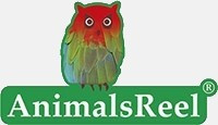 AnimalsReel - Official Site - Green Screen Animals footage. Ultra-High quality for Cinema, TV and Media
